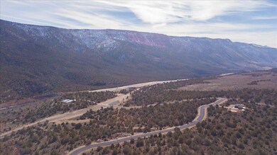 05-DJI_0955