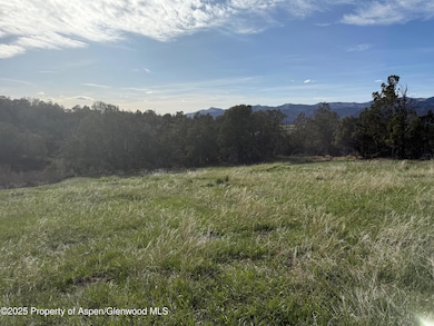 Colorado Building Lot Collbran Colo 1