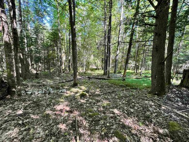 Lot 87 Langway Rd, Lyman, NH 03585 - photo 3