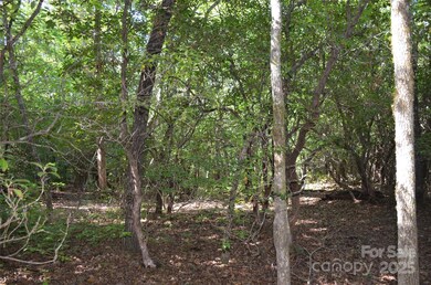 Lot 9 Galax Ln unit 9, Brevard, NC 28712 - photo 6