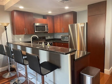 533 Cambridge St unit 313, Allston, MA 02134 - photo 4