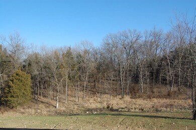 Another View of Backyard