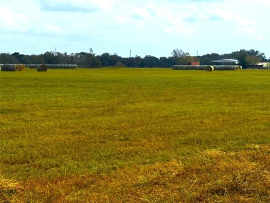 TBD County Road 321, Louise, TX 77455 - photo 4