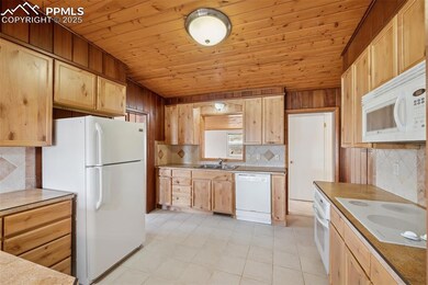 150 Apache Trail, Woodland Park, CO 80863 - photo 7