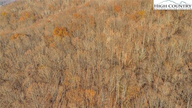 The beauty of undeveloped property and amazing pri