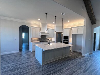 529 Ford Flats, Springtown, TX 76082 - photo 6