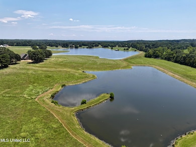 dji_fly_20240812_171740_0005_17234952520