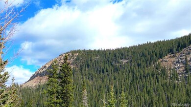 North Lot Chicago Creek Rd, Idaho Springs, CO 80452 - photo 2