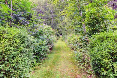 Gorgeous Paths