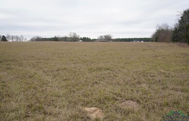 View of local wilderness with a rural view
