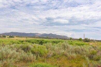 x Cox Cir, Arboles, CO 81137 - photo 4