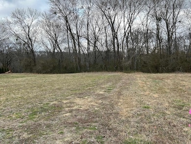 290 Raintree Valley Rd, Pangburn, AR 72121 - photo 2