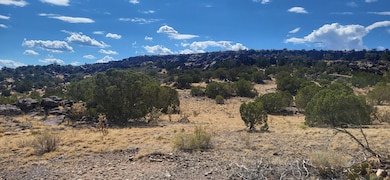 1215 Iron Ave, Grants, NM 87020 - photo 2