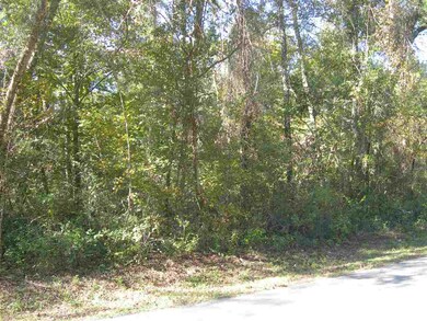 0 Hickorywood Dr, Crawfordville, FL 32327 - photo 3