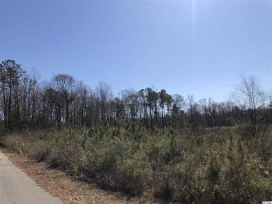 4000 Highway 19, Conway, SC 29526 - photo 2