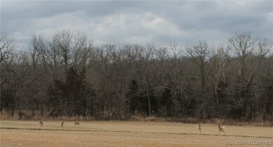 an abundance of wildlife