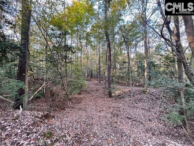 1620 Washington Lever Rd, Little Mountain, SC 29075 - photo 5