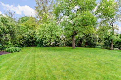 Rear Yard