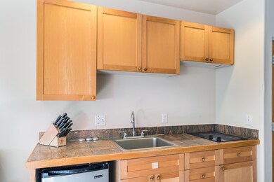 Tomboy Lodge 202 Kitchenette