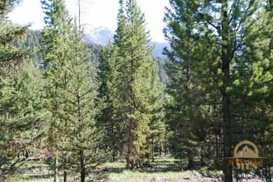 TBD Settler's Loop, Big Sky, MT 59716 - photo 6