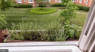 6625 10th St unit B1, Alexandria, VA 22307 - photo 6