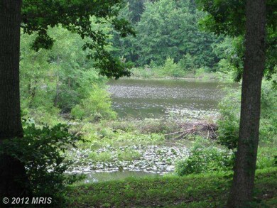 8316 Catharpin Landing Rd, Spotsylvania, VA 22553 - photo 3