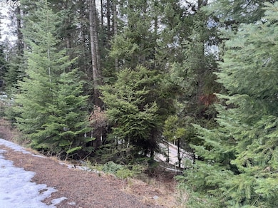 0 Forest Dell Rd unit 648401436, Wallowa Lake, OR 97846 - photo 2