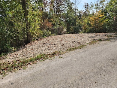 0 Routt Rd unit 43963, Wallingford, KY 41093 - photo 2