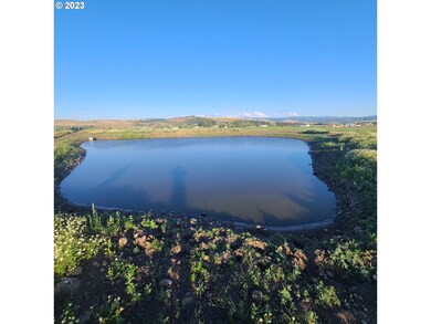 70775 Middle Rd, Elgin, OR 97827 - photo 6