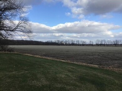 32155 Fillmore Rd, New Carlisle, IN 46552 - photo 4