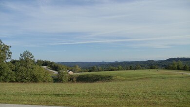 Georgetti Forest View Lot 523 (4)