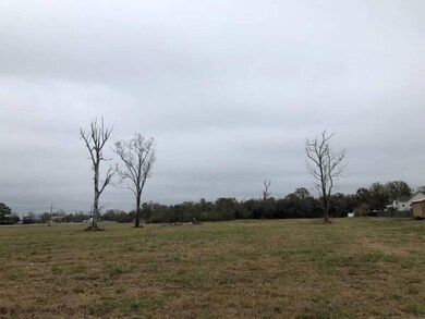 0 Highway 90 None, Avondale, LA 70094 - photo 4