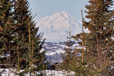 Peekaboo views of all three volcanoes!