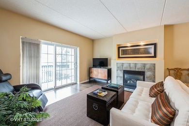 Spring Ave Station unit 202, La Grange, IL 60525 - photo 2