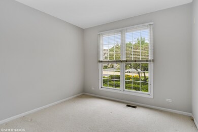 1440 Whitespire Ct unit 4601, Naperville, IL 60565 - photo 5