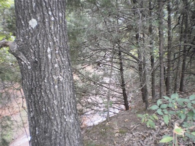 0 Dancing Stream Rd unit 702505, Tecumseh, OK 74873 - photo 3