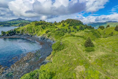 6091 Cliff Point Rd, Kodiak, AK 99615 - photo 6