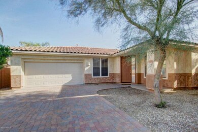 Cypress - 13557 (2)