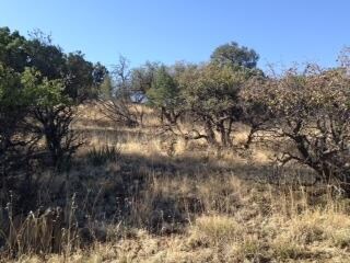 xx Arrowhead Rd, Silver City, NM 88061 - photo 2