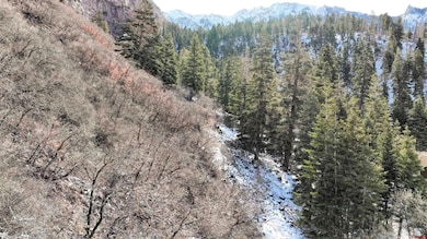 Drone / aerial view featuring a mountain view and 
