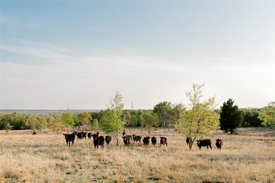TBD 84 Latigo Way, Weatherford, TX 76088 - photo 2