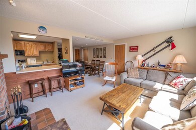 339H Handle Rd unit Elms H, Dover, VT 05356 - photo 3