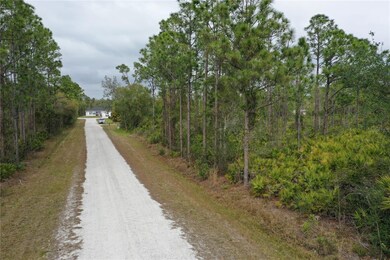 12062 Dahlia St, Punta Gorda, FL 33955 - photo 4