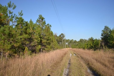 0 Sandpiper Ln unit 25650871, Swainsboro, GA 30401 - photo 4