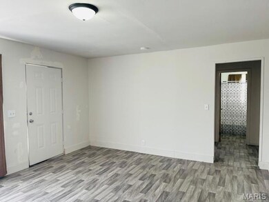 501 S Cypress, Parma, MO 63870 - photo 6