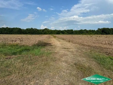 State Highway 173, Wilmot, AR 71676 - photo 5