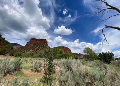 1200 Frying Pan Rd, Basalt, CO 81621 - photo 6