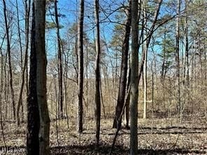 0 Fisher Ridge Rd Tract 1, Fleming, OH 45729 - photo 4