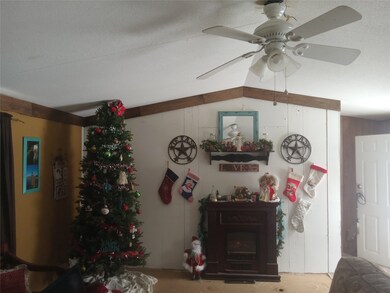 614 Hanging Tree Rd, Bowie, TX 76230 - photo 4