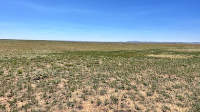 0 Guadalupe Ave unit 1095139, Veguita, NM 87062 - photo 5